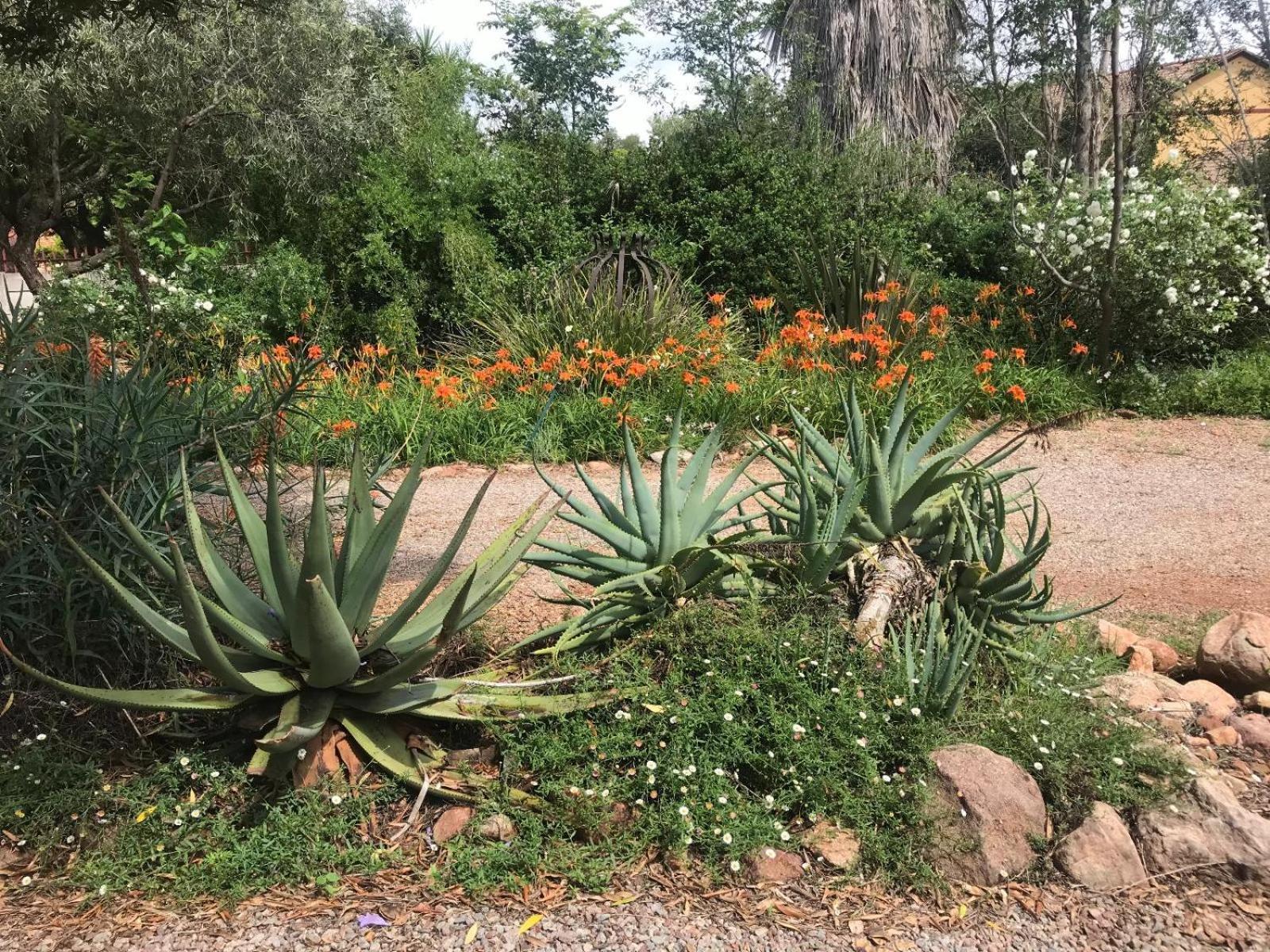 Aloe Guesthouse Klerksdorp Eksteriør bilde