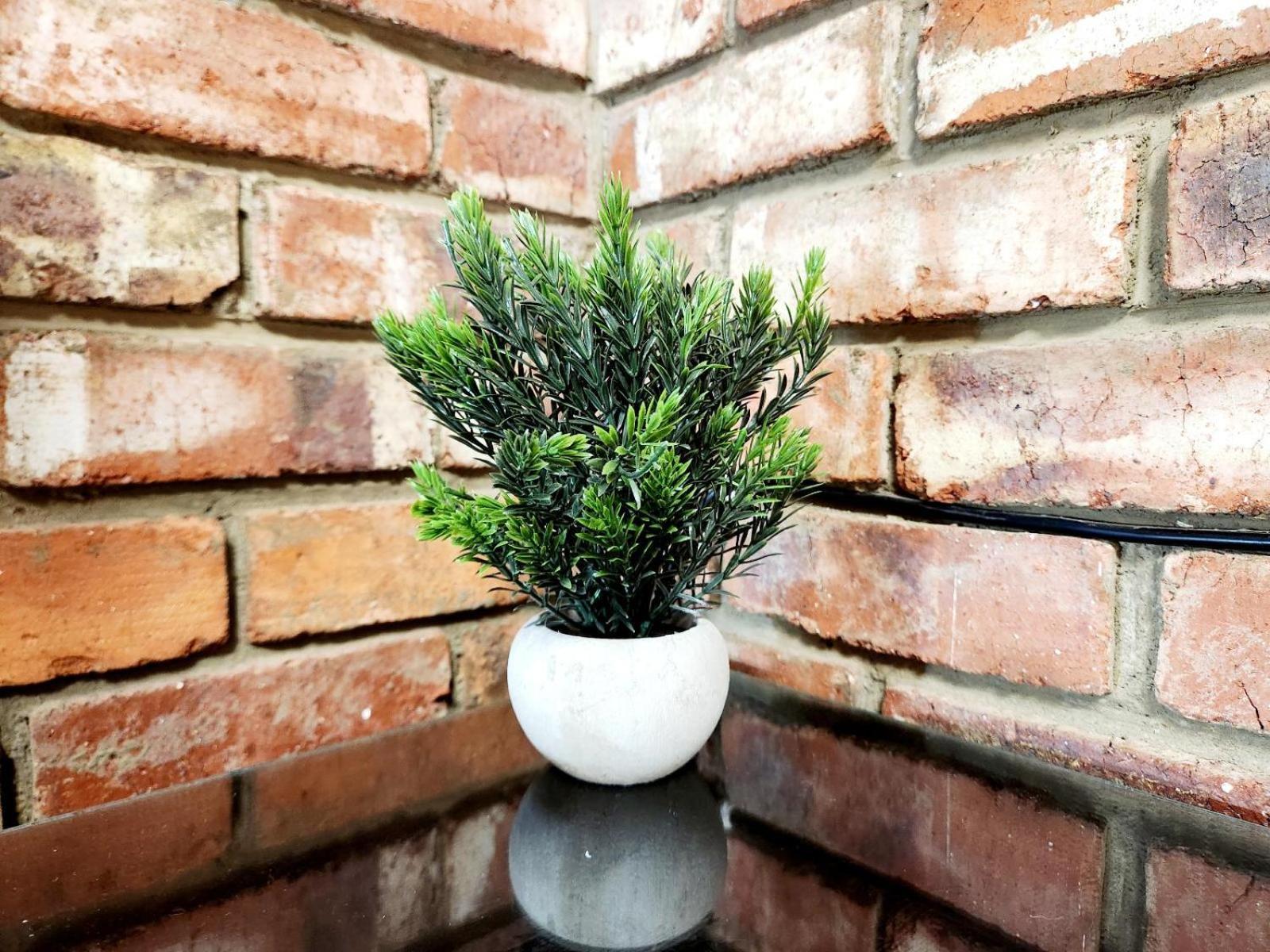 Aloe Guesthouse Klerksdorp Rom bilde