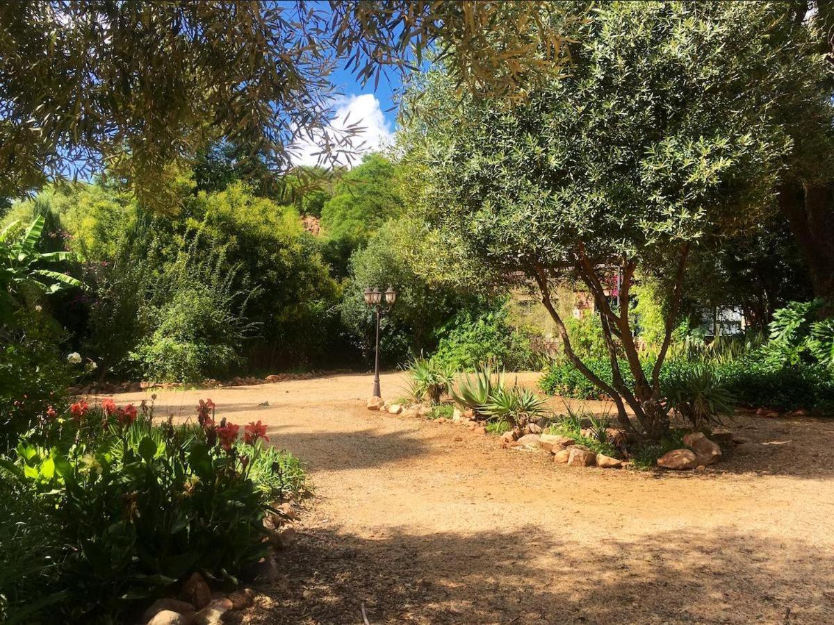Aloe Guesthouse Klerksdorp Eksteriør bilde